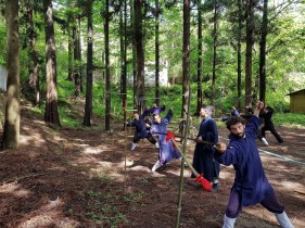20190429_094627