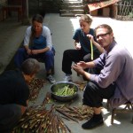 Taoist Medicine