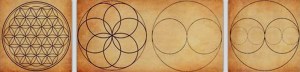 floweroflife