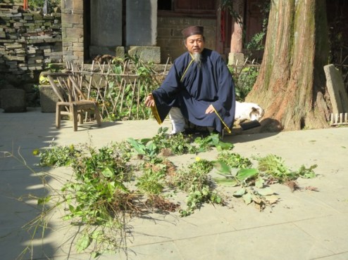 Taoist Medicine