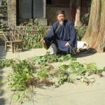Taoist Medicine