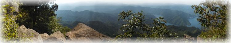 Wudang Tao