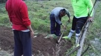 IMG_20160331_190307