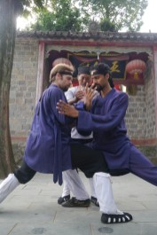 push hands