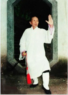 Wudang Kung Fu Grandmaster of Chun Yang Lineage.